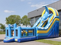 MULTIPLAY DOLPHIN SLIDE