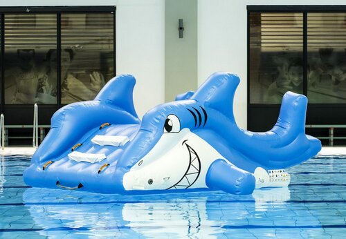 SMALL SLIDE SHARK